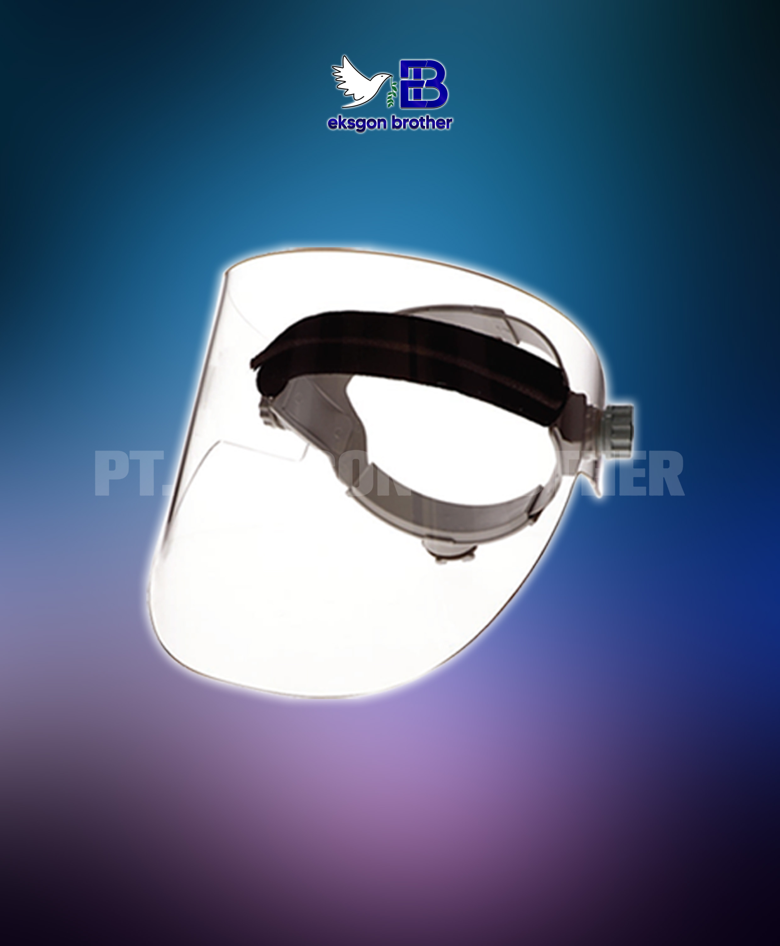 Radiation Glasses F0-15